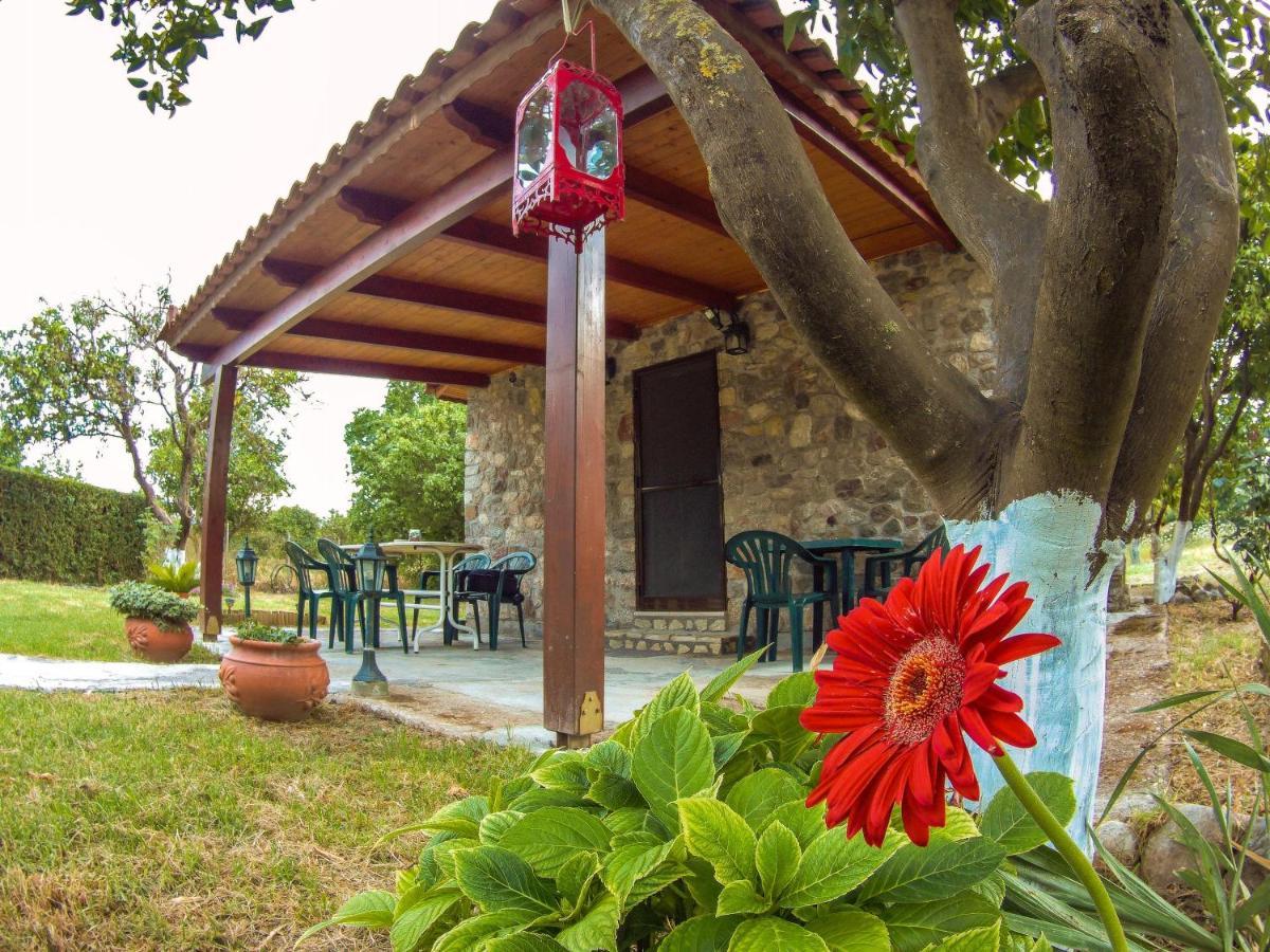 Patras Stonehouse With Large Yard - Πέτρινο Σπίτι Με Αυλή Vila Paralia  Exterior foto